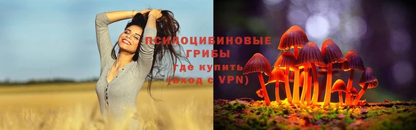 прущий лед Алзамай