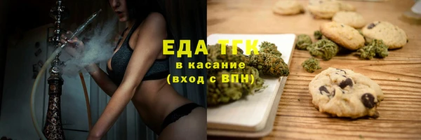 прущий лед Алзамай