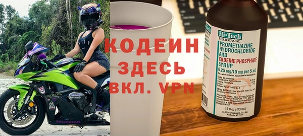 прущий лед Алзамай