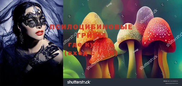 эйфоретик Алексин