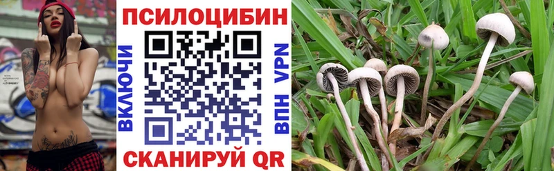Псилоцибиновые грибы ЛСД  Боровск 